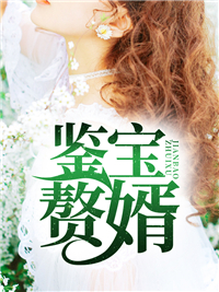 林凡夏天