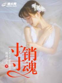 寸寸销魂