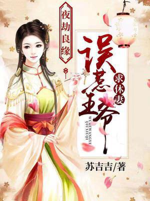 夜劫良缘：误惹王爷求休妻