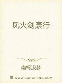 凤火剑康行
