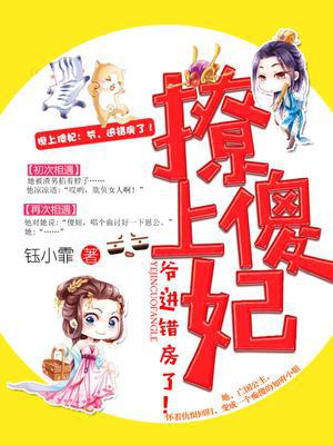 撩上傻妃：爷，进错房了！