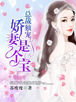 总裁独宠：娇妻是个宝