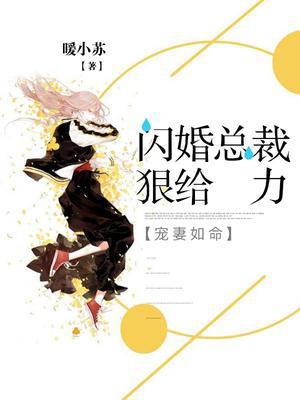 宠妻如命：闪婚总裁狠给力