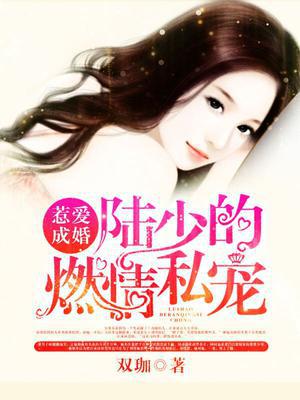 惹爱成婚：陆少的燃情私宠