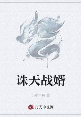 诛天战婿
