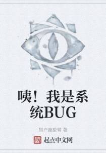 咦！我是系统BUG