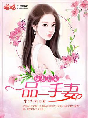 总裁独宠：一品二手妻