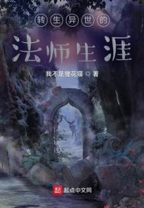转生异世的法师生涯