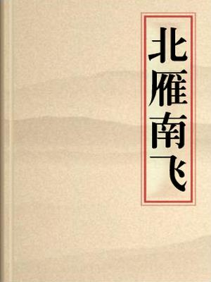 北雁南飞
