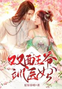 双面王爷飒医妃