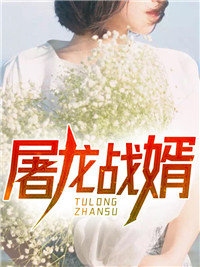 陈屠龙苏沐婉