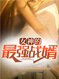 女神的最强战婿