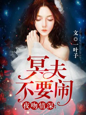 夜无尘齐月冥夫不要闹
