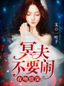 夜无尘齐月一吻情深