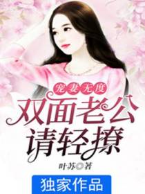 宠妻无度：双面老公请轻撩