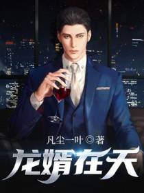 龙婿在天