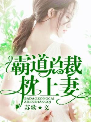 顾小黎陆南笙