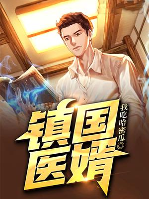 镇国医婿