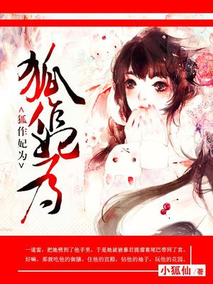 秦风沐婉