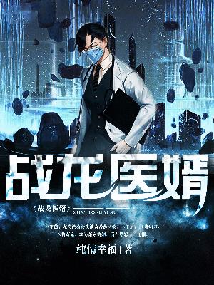 战龙医婿