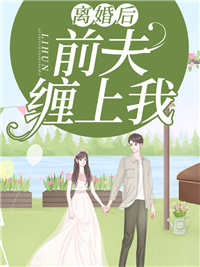 离婚后前夫缠上我