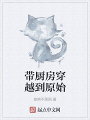 带厨房穿越到原始