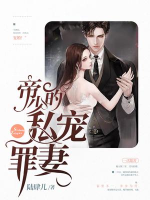 贺西洲沈婉