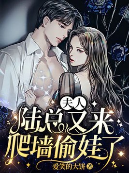 夫人，陆总又来爬墙偷娃了