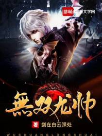 无双龙帅