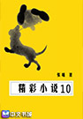 精彩小说10