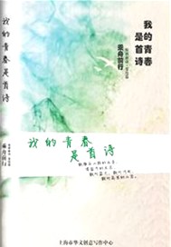 我的青春是首歌