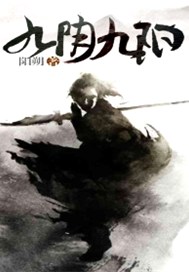 九阴九阳