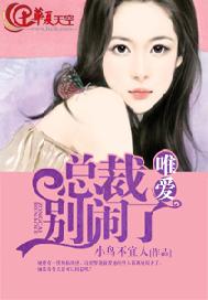 唯爱：总裁，别闹了