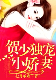 贺少独宠小娇妻