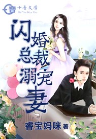 闪婚总裁溺宠妻
