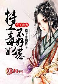 冷王独宠：特工毒妃不好惹