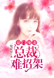 豪门辣妻：总裁难招架