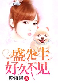 盛先生，好久不见