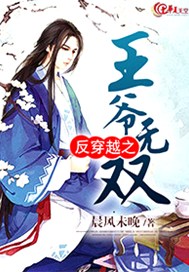 反穿越之王爷无双