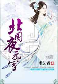 北国夜无雪