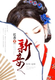 新妾