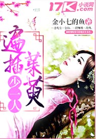 遍插茱萸少一人