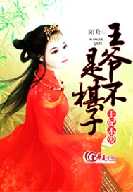 王爷不是棋子：王妃不爱