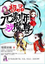 极品元素师戏魔尊