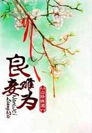 良妾难为