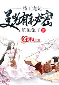 特工宠妃：美男有秘密