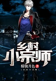 乡村小宗师