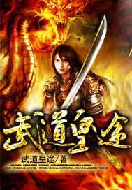武道皇途