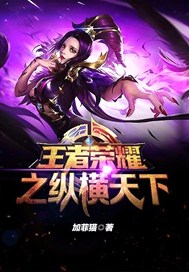 王者荣耀之纵横天下