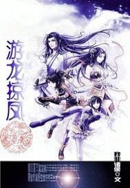 游龙掠凤